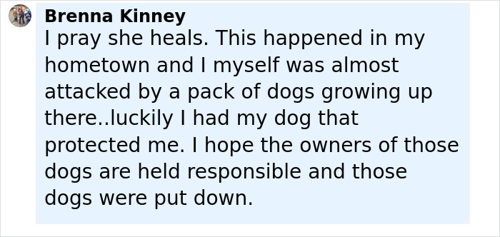 Comment expressing hope for healing after teen daughter mauled by pack of dogs and calling for owner responsibility.