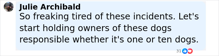 Comment from Julie Archibald expressing frustration about dog attacks and calling for owners to be held responsible.