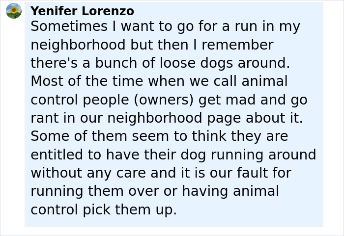 Comment discussing concerns about loose dogs in the neighborhood and animal control issues after a dog attack.
