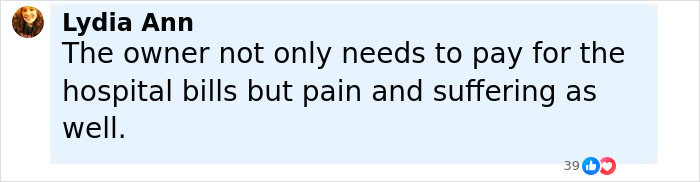 Facebook comment by Lydia Ann expressing that the owner should pay hospital bills and pain after teen daughter's dog mauling.