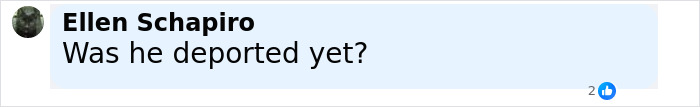 User comment by Ellen Schapiro asking if someone was deported, shown in a social media format related to Uber driver incident.