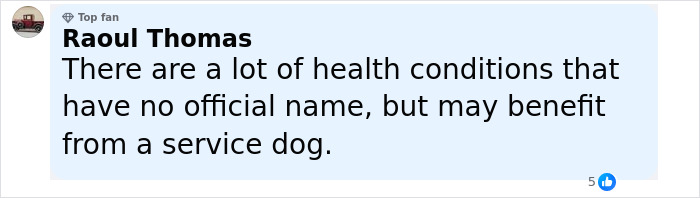 Comment by Raoul Thomas explaining some health conditions may benefit from a service dog, related to Uber driver incident.