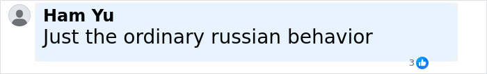 Comment shown on a social media post reading Just the ordinary Russian behavior, with three likes.