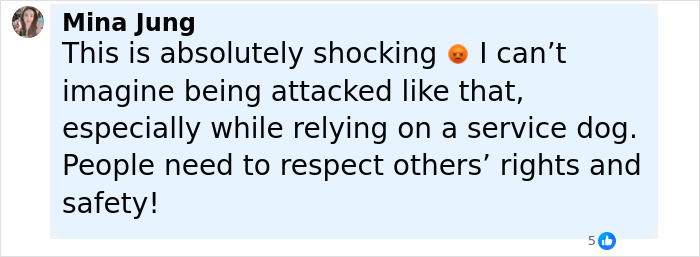 Comment by Mina Jung expressing shock about an Uber driver attack involving a service dog and concerns over passenger safety.