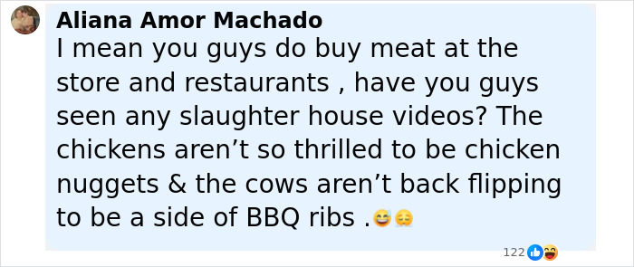 Comment discussing ethical concerns about meat consumption and slaughterhouses in relation to donating pets to feed zoo predators. - 38