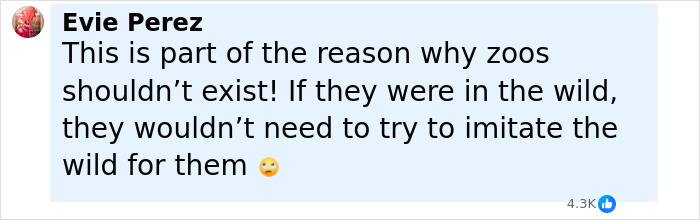 Social media comment criticizing zoos for imitating the wild amid calls to donate pets to feed predators. - 34