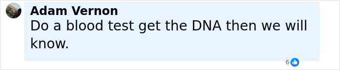 Screenshot of Facebook comment by Adam Vernon suggesting a blood test to confirm Freddie Mercury love child DNA.