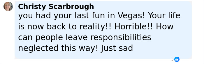 Facebook comment by Christy Scarborough criticizing a Florida mother for abandoning responsibilities and neglecting her child and dogs.