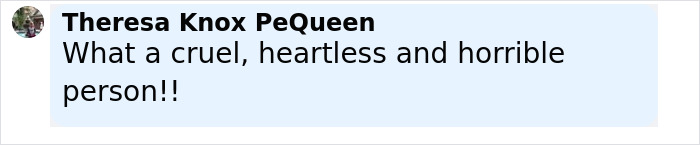 Comment by Theresa Knox PeQueen expressing outrage, calling Florida mother abandoning child and dogs cruel and heartless.