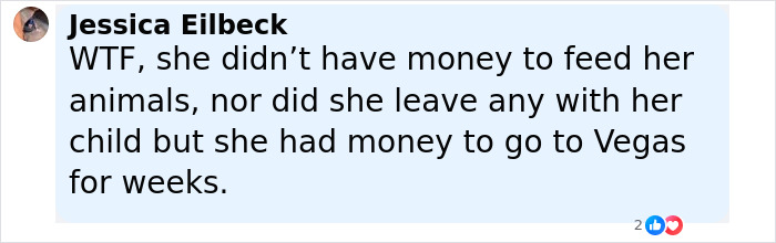 Comment box showing frustration about Florida mother abandoning her child and seven dogs to vacation in Las Vegas.