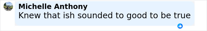 Comment from Michelle Anthony in a social media post expressing skepticism with the phrase sounding too good to be true. Comment from Michelle Anthony in a social media post expressing skepticism with the phrase sounding too good to be true.