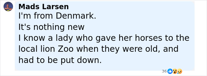 Comment from Mads Larsen sharing a story about donating horses to a lion zoo to help feed predators. - 33