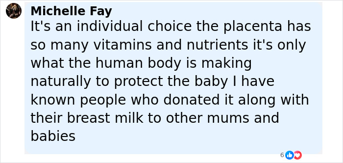 Comment from Michelle Fay discussing the nutritional benefits of placenta and its use in encapsulation by mothers. - 14