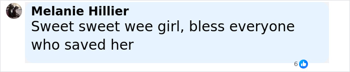 Comment praising the rescue of a puppy who had to have a leg amputated after being abandoned, expressing gratitude to her caregivers.