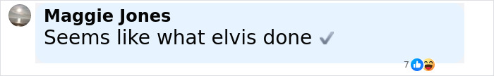 Comment by Maggie Jones saying "Seems like what elvis done" with reaction icons below.