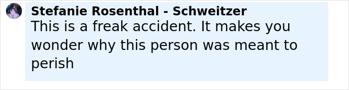 Comment from Stefanie Rosenthal - Schweitzer expressing shock and calling the elk collision a freak accident related to former Miss Universe contestant's death.