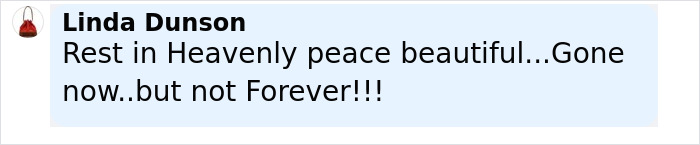 Comment expressing condolences for former Miss Universe contestant who died in a gruesome elk collision accident.