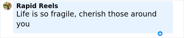 Comment on social media post saying life is fragile, with text about cherishing loved ones, referencing former Miss Universe contestant elk collision accident.