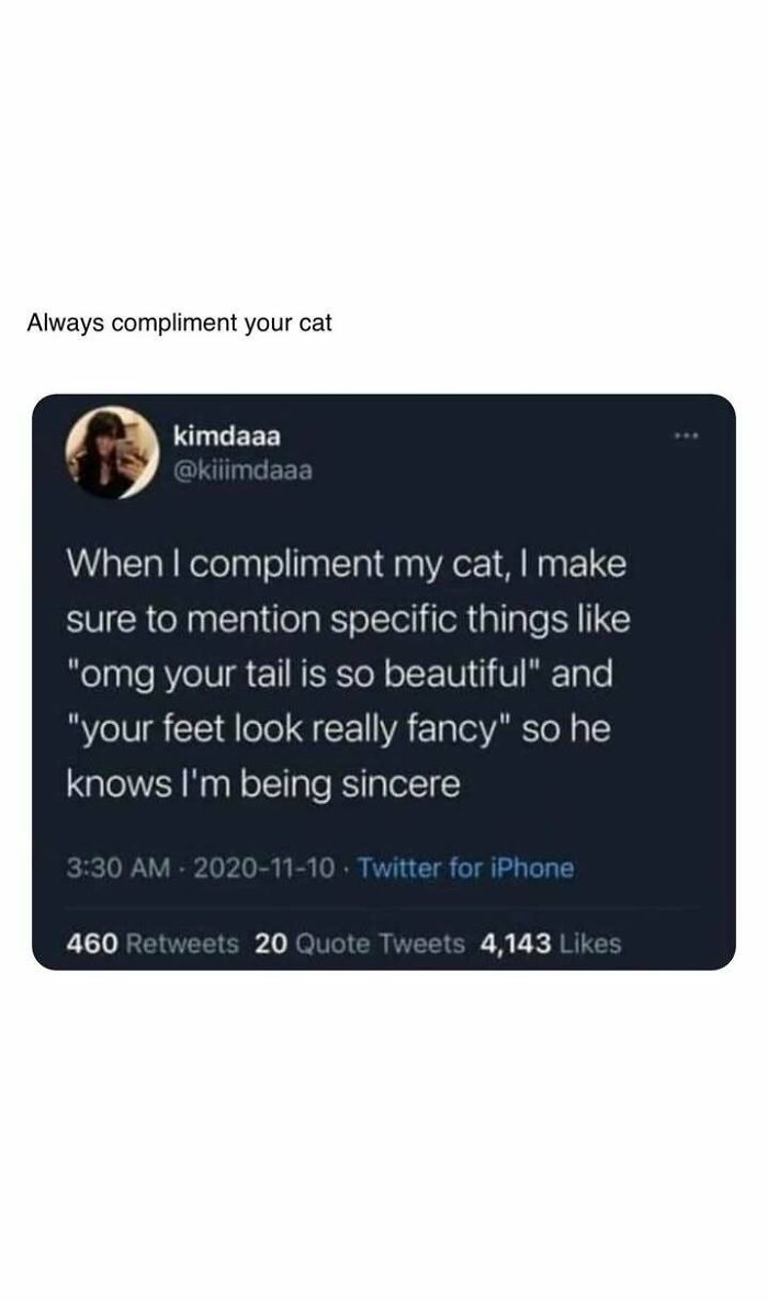 Heartwarming post about sincerely complimenting your cat with specific praises to show affection and kindness.