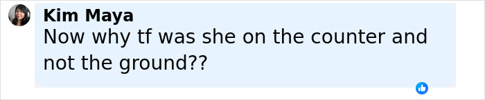 Comment from user Kim Maya questioning why someone was on the counter during the Nicki Minaj stiletto challenge injury.