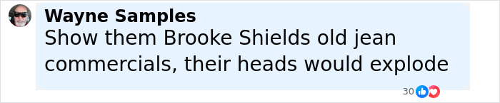 Comment by Wayne Samples with sunglasses profile picture, discussing Brooke Shields old jean commercials, related to writer who trashed Sydney Sweeney.