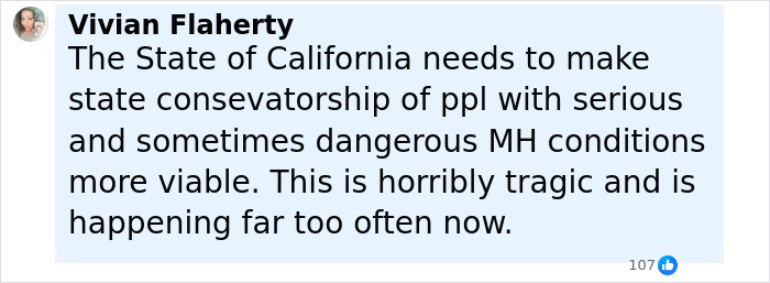 Comment by Vivian Flaherty expressing concern about tragic incidents involving good Samaritans protecting helpless families from attackers.
