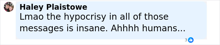 Screenshot of a social media comment by Haley Plaistowe criticizing hypocrisy in messages related to the dog meat farm controversy. - 17