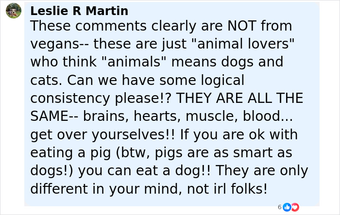 Comment from dog meat farm owner defending eating dogs, addressing threats after going viral on social media. - 29