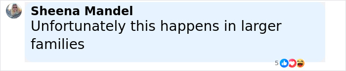 Comment by Sheena Mandel expressing that unfortunate events happen in larger families, related to Kate and Jon Gosselin&rsquo;s son Collin.