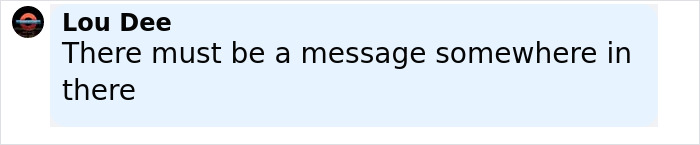 Comment by Lou Dee on a light blue background stating there must be a message somewhere in there. - 24