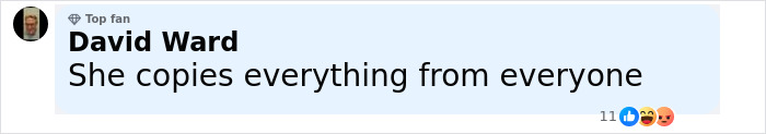 Comment by top fan David Ward saying Meghan Markle copies everything from everyone in a discussion on Pamela Anderson cooking show. - 32