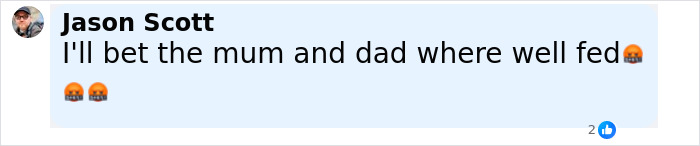 Facebook comment by Jason Scott expressing skepticism about parents' feeding after toddler's vegan diet death.