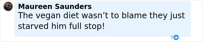 Comment by Maureen Saunders expressing that the toddler starved due to a vegan diet, highlighting crucial signs ignored.