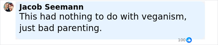 Screenshot of a Facebook comment by Jacob Seemann stating the toddler's death was due to bad parenting, not veganism.