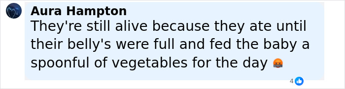 Comment about feeding baby vegetables highlighting crucial signs ignored in toddler's vegan diet issues shared by woman.