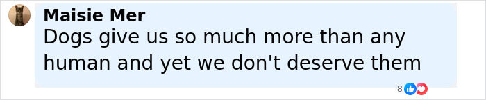 Comment by Maisie Mer expressing gratitude for dogs and their value beyond humans, related to dog saves life SEO topic.
