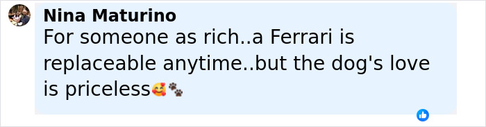 Comment mentioning a Ferrari is replaceable but a dog's love is priceless, emphasizing the dog saves life theme.