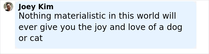 Social media post by Joey Kim sharing a heartfelt message about the joy and love of a dog after business collapse.