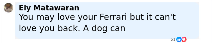 Comment by Ely Matawaran about loving a Ferrari but a dog can love you back, relating to dog saving a man's life.