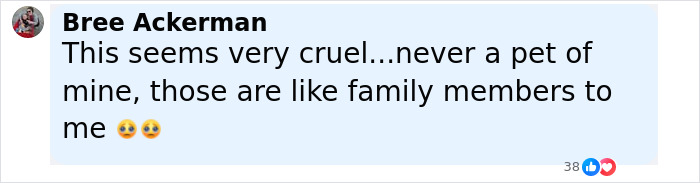 Facebook comment by Bree Ackerman expressing that donating pets to feed predators seems very cruel as pets are like family members. - 37