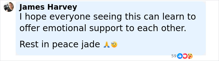 Comment by James Harvey expressing hope for emotional support and mourning the loss of Jade with prayer and sad face emojis. Comment by James Harvey expressing hope for emotional support and mourning the loss of Jade with prayer and sad face emojis.
