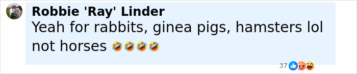 Screenshot of a social media comment joking about animals with laughter emojis, referencing ponies and horses.