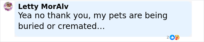 Comment from Letty MorAlv stating pets are buried or cremated, discussing animal handling after donation outrage.