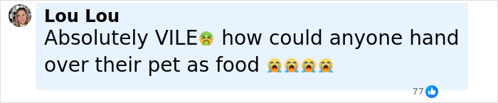 Social media comment reacting to woman donating daughter&rsquo;s pony to zoo to be eaten by lions, expressing outrage.