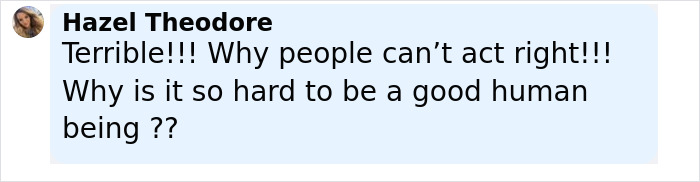 Comment from Hazel Theodore expressing frustration about people&rsquo;s behavior and the difficulty of being a good human being.