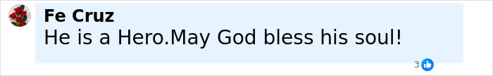Facebook comment praising good Samaritan as a hero for protecting helpless mom and children from attacker.