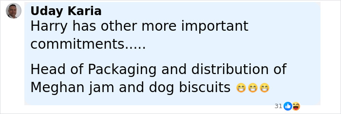 Screenshot of a social media comment about Prince Harry's commitments amid Sentebale scandal investigation findings. - 12