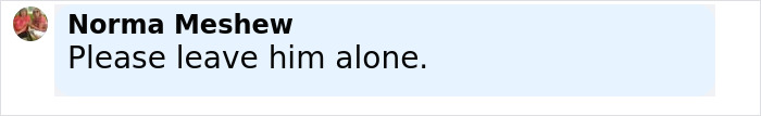 Comment by Norma Meshew asking to please leave Prince Harry alone following Sentebale scandal investigation findings. - 31