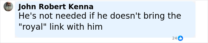 Screenshot of a social media comment discussing Prince Harry following the Sentebale scandal investigation findings. - 13