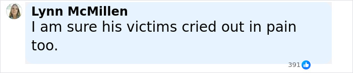 Comment by Lynn McMillen expressing doubt about victims not crying out in pain during an inmate's execution. - 25